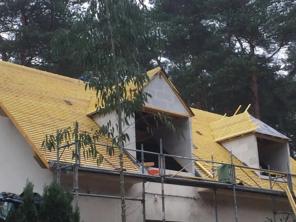 67219530_352908448736998_5413867316683210752_n